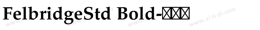 FelbridgeStd Bold字体转换 FelbridgeStd Bold字体转换